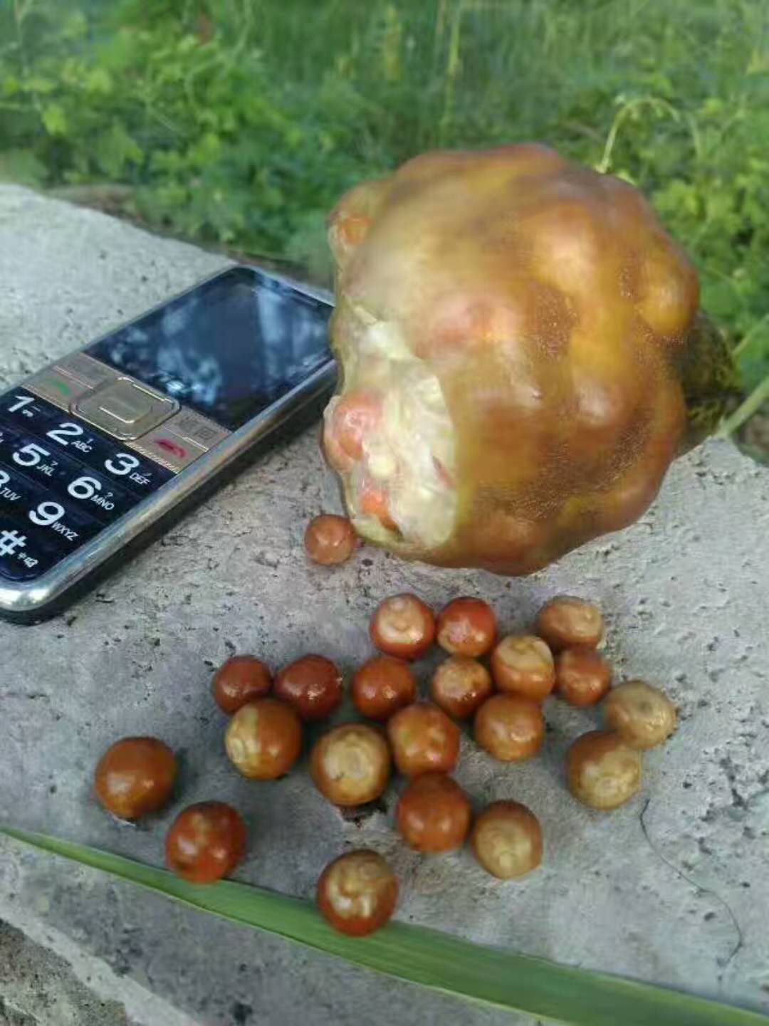 微信图片_20171016133129.jpg