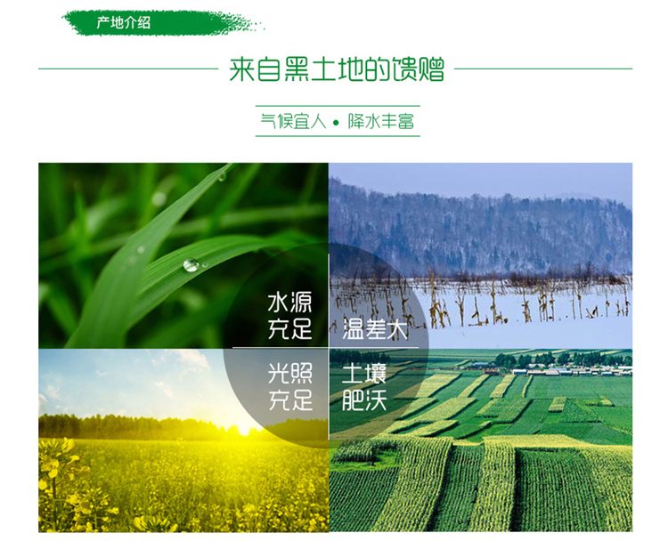 7743ae6c2a944369807f6ae2bf6abcf0.png