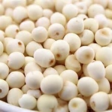 【昆明仓】干芡实 苏芡江苏洪泽湖特产 芡实250g 去壳鸡头米口感好