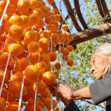 青州柿饼500g柿子天然晾晒甜糯起霜