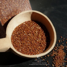 香格里拉生态藜麦｜全营养主食 适合宝宝孕产妇三高人群素食者