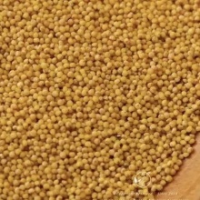 【昆明仓】环翠庄园新小米，醇厚油润软糯清香，吃过难忘的小米-冬谷小米，春谷小米