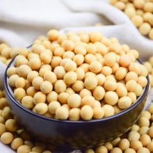 生态黄豆500g｜ 自然农法种植、10年老种子
