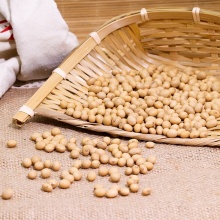 生态黄豆500g｜ 自然农法种植、10年老种子
