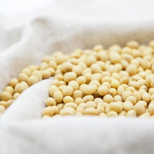 生态黄豆500g｜ 自然农法种植、10年老种子