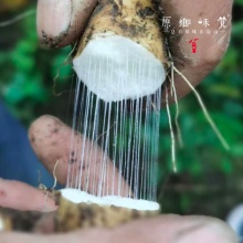 【热销中农场直发】雪山上的糯山药5斤｜原生态 糯香 不用农药化肥除草剂膨大剂 自然生长 下单请阅详情