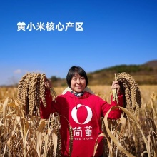 压塌楼生态小米1000g｜源自清朝的老种子种植，三层厚米油