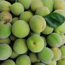 大理传统日晒乌梅250克丨山中野放青梅，可做酸梅汤等