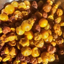 鲜话梅、果梅胚250g｜可直接食用/做饮料/佐餐等、野放梅子陶缸腌制一年以上