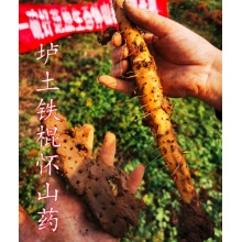 生态铁棍怀山药片500g｜遵守古法时令炮制、有药性的山药片、口感香甜易煮软糯