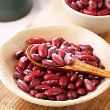【昆明仓】有机红芸豆370g｜坚持有机种植20年