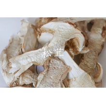 【昆明仓】野生松茸64g（8包*8g）｜独立真空包装，纯野生低温烘干，煲汤甜美营养