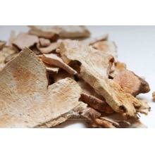 【昆明仓】野生土茯苓250g