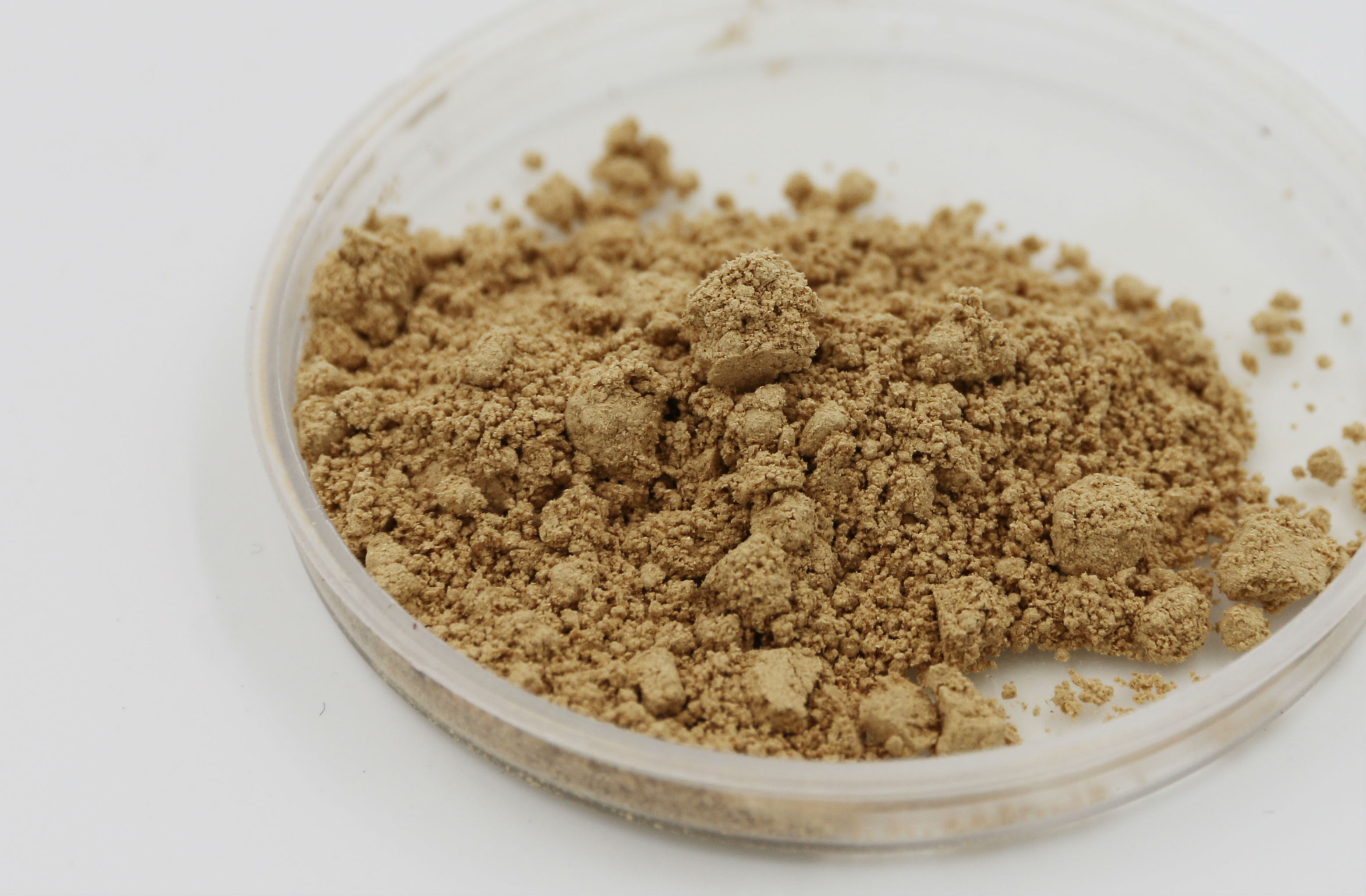 云南白灵芝粉保肝解毒抗衰老调节免疫力灵芝中珍品